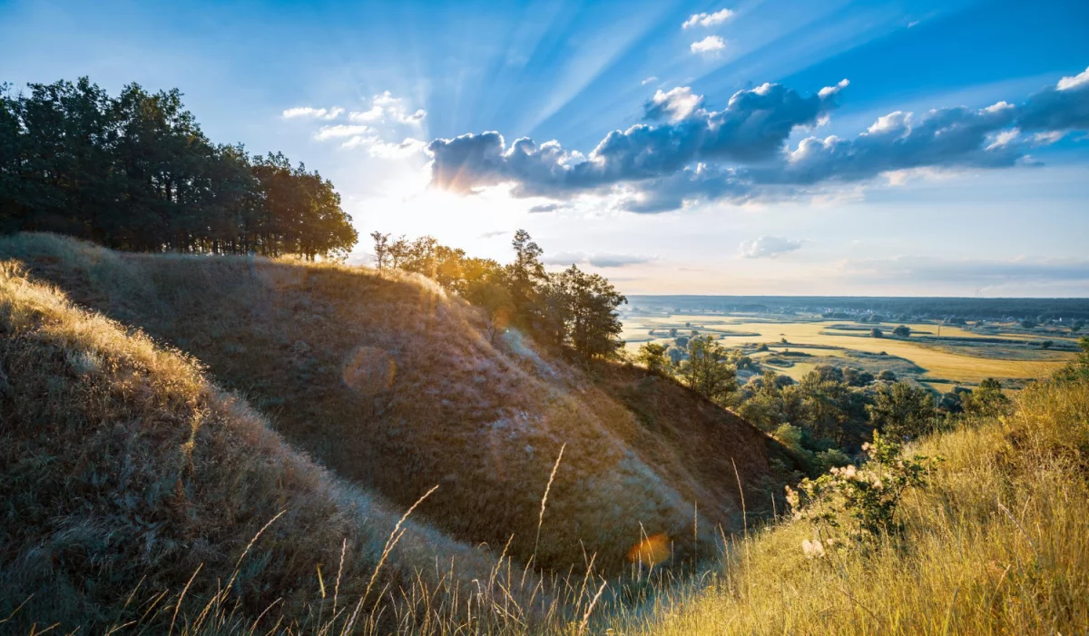 9 Największych Kłamstw O Tym Jak Kupić Dobrą Kawę