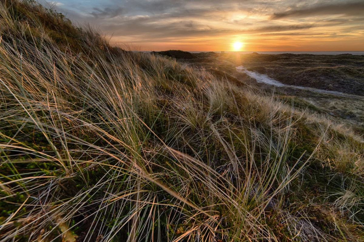 Portal medyczny? Tak!