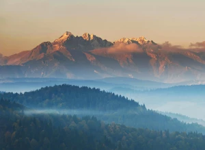 Jak działa pozycjonowanie?