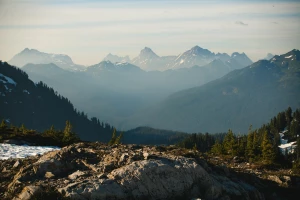 Odnawialna energia - fotowoltaika dla zielonych